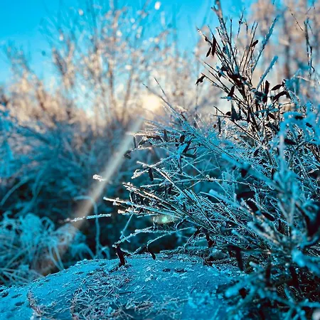 Rosstrappenblick * Thale