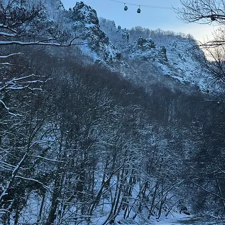 公寓 Rosstrappenblick 塔勒