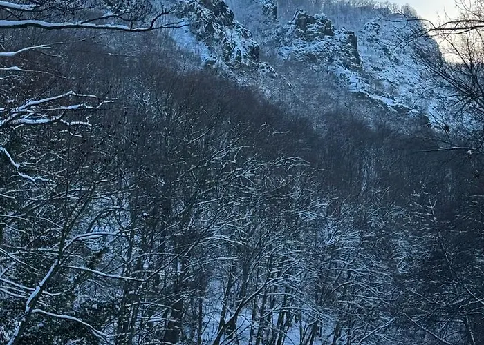 公寓 Rosstrappenblick 塔勒